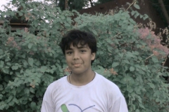 DSO State 2008