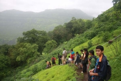 Peth Fort 2012